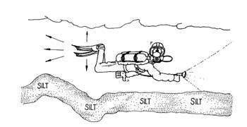 this is how you kick in a cenote frog style