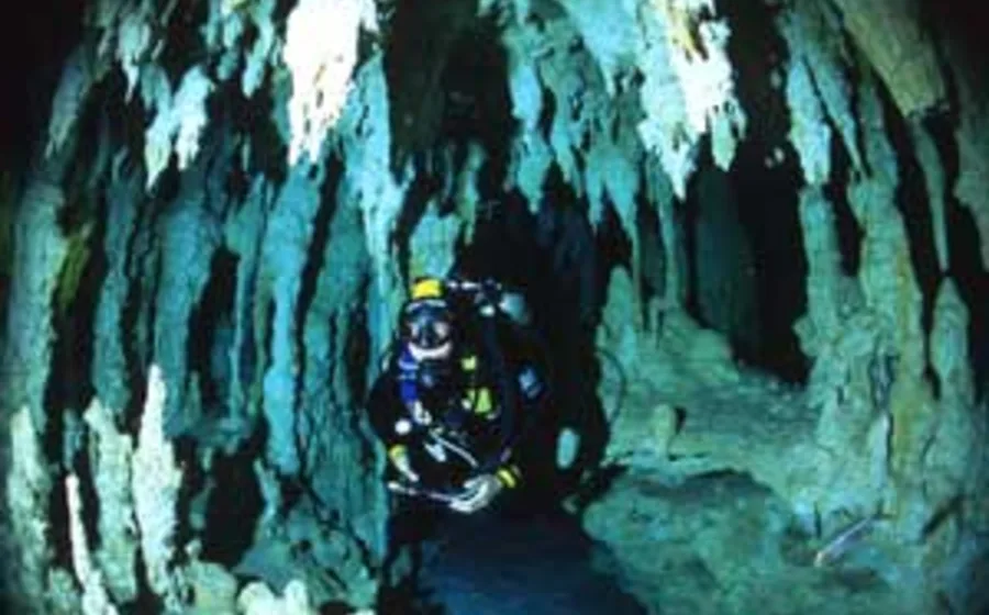 Cavern opening and rock formations at Gran Cenote